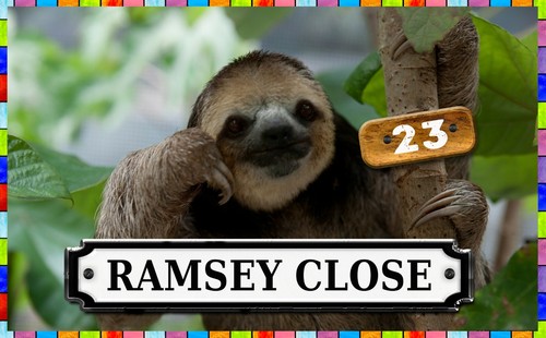 Sloth door gate sign - sloth,
